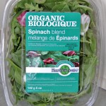 spinach-salad